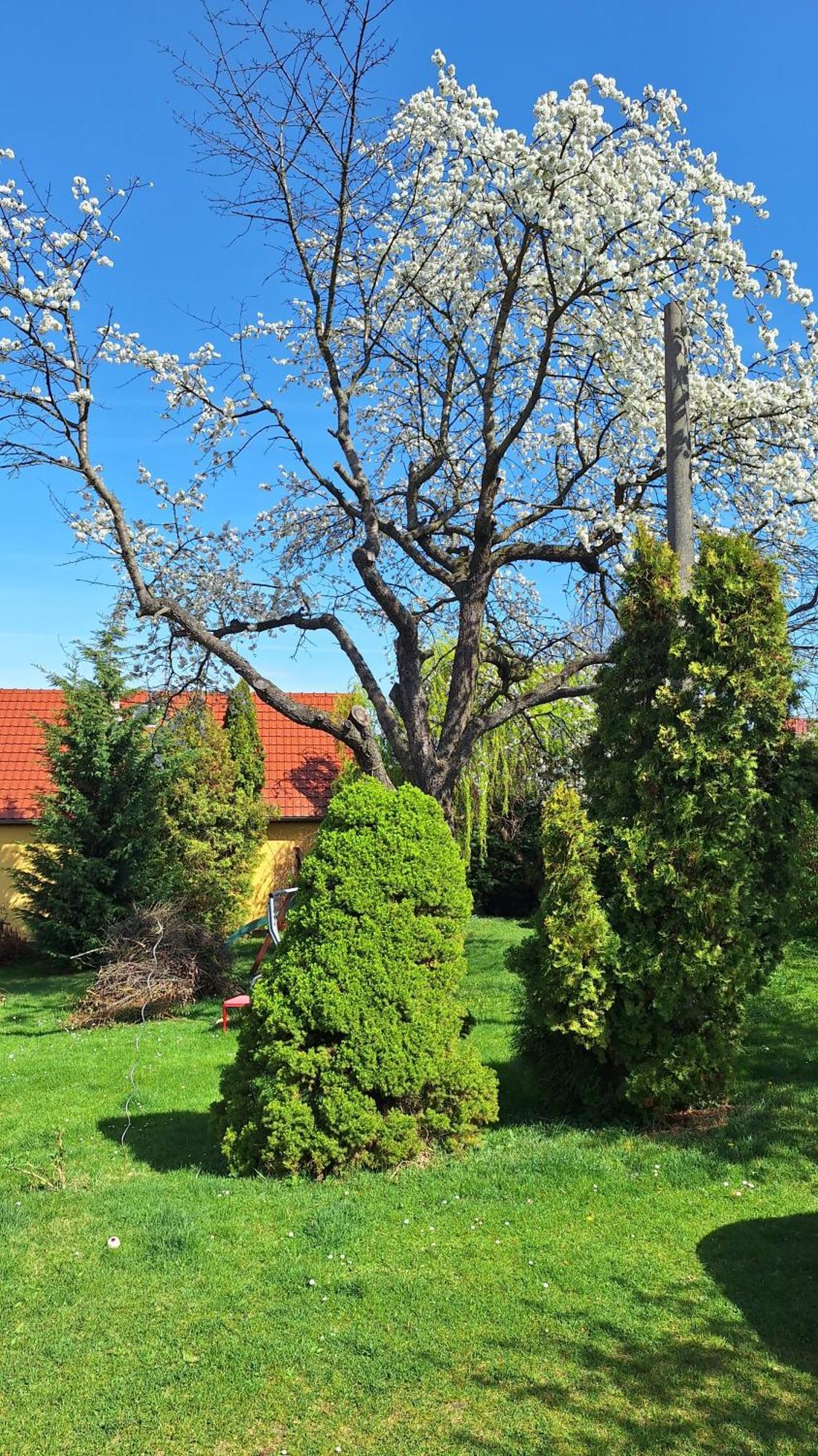 Prague Zbraslav Old Garden Apartment ภายนอก รูปภาพ